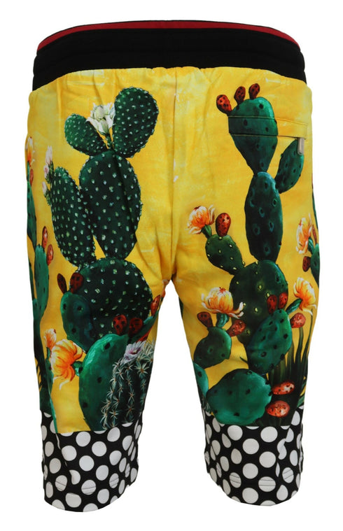 Dolce & Gabbana Multicolor Cactus Print Cotton Sweat Shorts
